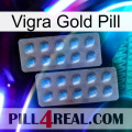 Vigra Gold Pill viagra4